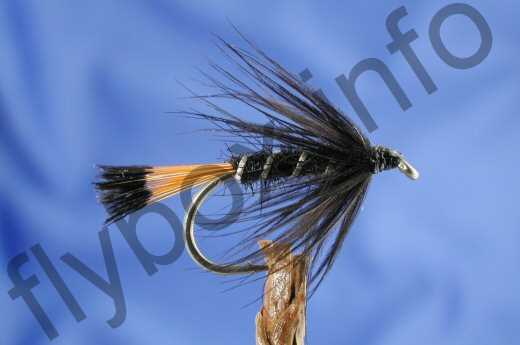 Fish4Flies Black Pennell